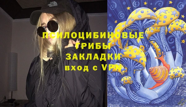 эйфоретик Медногорск