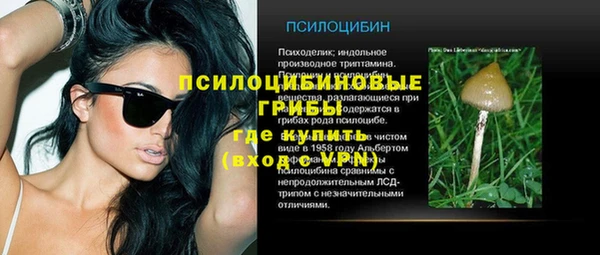 скорость Медвежьегорск