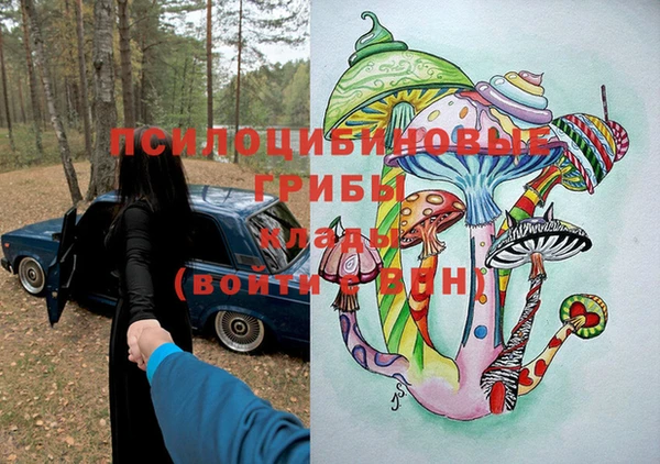спиды Мегион