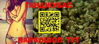 Альфа ПВП Бийск