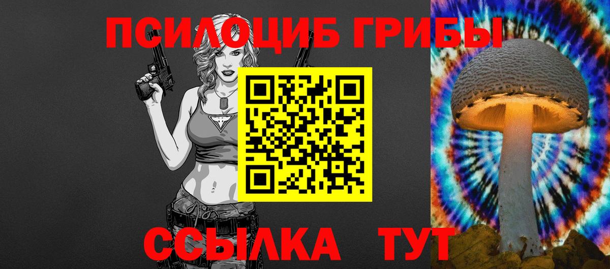 Псилоцибиновые грибы Psilocybine cubensis Губкинский