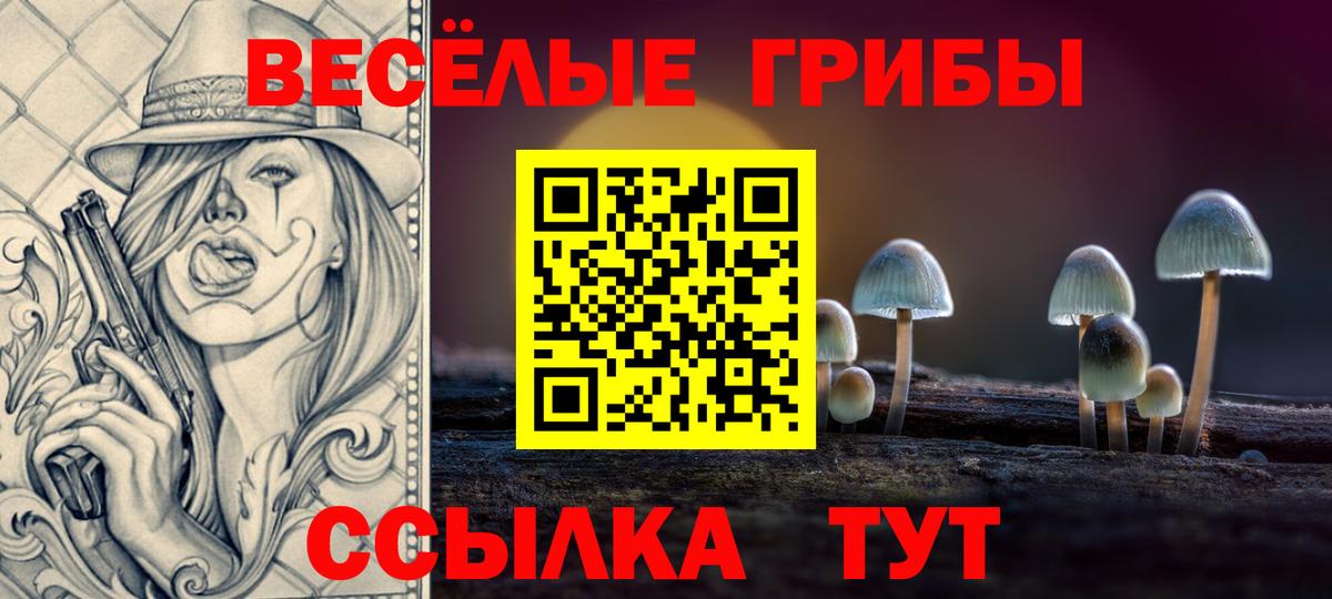 Галлюциногенные грибы GOLDEN TEACHER Губкинский